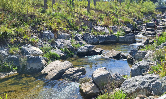 Revitalisierung des Rütibachs