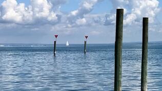 Regionale Energiequelle: