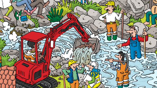 Revitalisierung von Gewässern